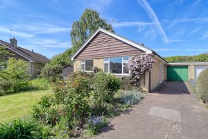 Frontal- click for photo gallery